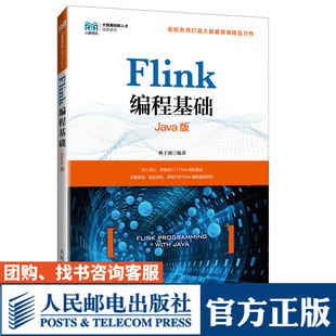 正版 Flink编程基础 Java版 林子雨 大数据创新人才培训Flink原理入门与实战基础知识 Flink编程实践程大数据课程 Flink教程书籍