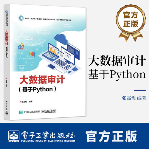 大数据审计 基于Python 张高煜 著 新文科教育指导思想下的金融科技编程教材 Python编程在审计行业的具体应用讲解书籍