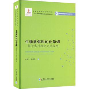 multi basis张亚宁 化学 工业技术书籍 model 基于多过程热力学模型 thermodynamic 生物质燃料 process