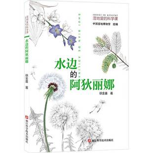 水边的阿狄丽娜徐金喜 图书书籍