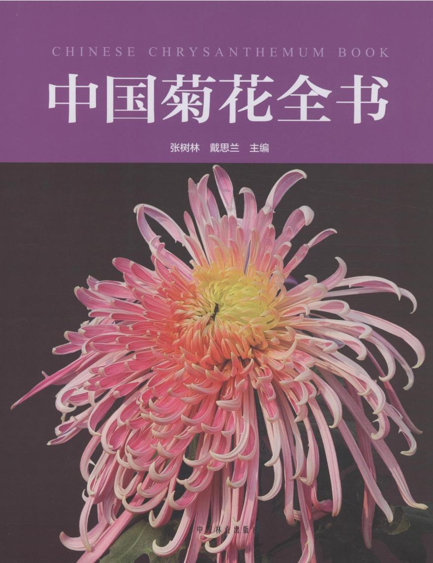 正版包邮 中国菊花全书 植物学品种起源 品种演进菊花品种 分类研究 菊花育种研究栽培技术 中国菊花品种图谱书书籍97875038720