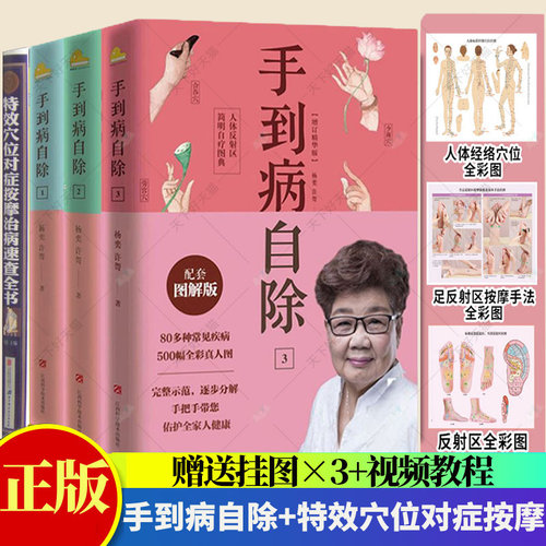 手足耳对症按摩随手查全4册