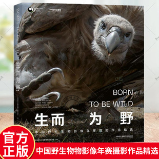 生而为野 中国野生物物影像年赛摄影作品精选野生动物摄影集 中国国家地理自然艺术摄影集 自然景观摄影师的镜头看见野性自然书籍