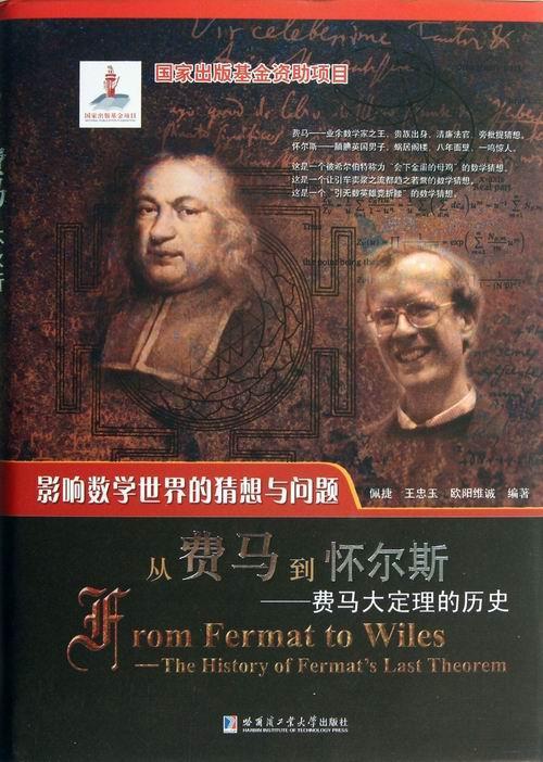 从费马到怀尔斯:the history of Fermat's last theorem佩捷 费马后定理普及读物自然科学书籍