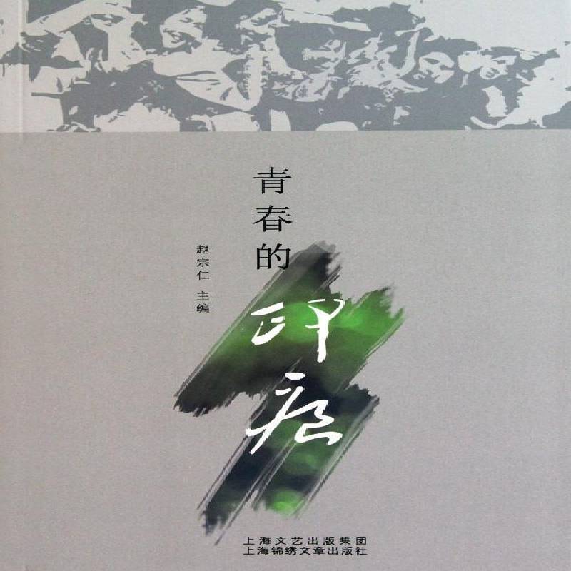 青春的印痕赵宗仁 回忆录中国现代文学书籍