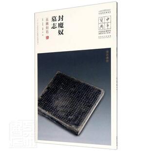 正版包邮 封魔奴墓志:北魏刻石9787539858364 者_陈畅责_陈远赖一平总_春法安徽美术出版社艺术汉字碑帖中国北魏普通大众书籍