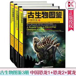 正版包邮 古生物图鉴套装全3册 中国恐龙1+恐龙2+翼龙 恐龙百科大全 恐龙古鸟动物化石骨骼与生物形态复原图古生物化石科普书籍