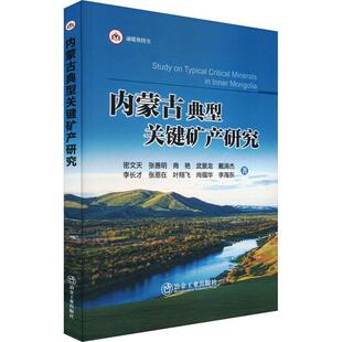 内蒙古典型关键矿产研究密文天  工业技术书籍