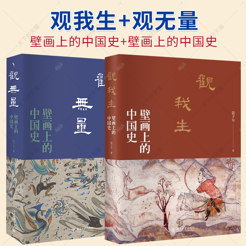 壁画上的中国史系列全2册 观我生+观无量 苗子兮 一部由壁画传承的纪传体中国史 读懂壁画深处的中国历史 北京大学出版社