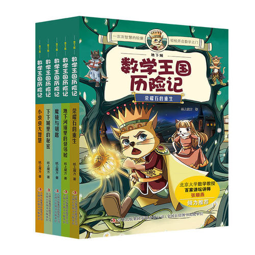 正版包邮 地下城数学王国历险记5册 小学生趣味数学逻辑思维训练启蒙课外书