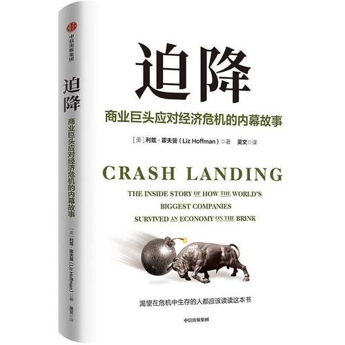迫降:商业巨头应对经济危机的内幕故事:the inside story of how the world'iggest companies survived an利兹·霍夫曼  经济书籍