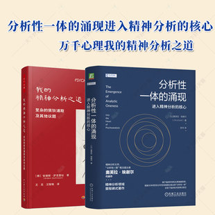 2册】我的精神分析之道 复杂的俄狄浦斯及其他议题+分析性一体的涌现 进入精神分析的核心 安德斯 精神分析治疗 知识体系方法论