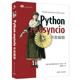 Python asyncio并发编程马修·福勒 计算机与网络书籍