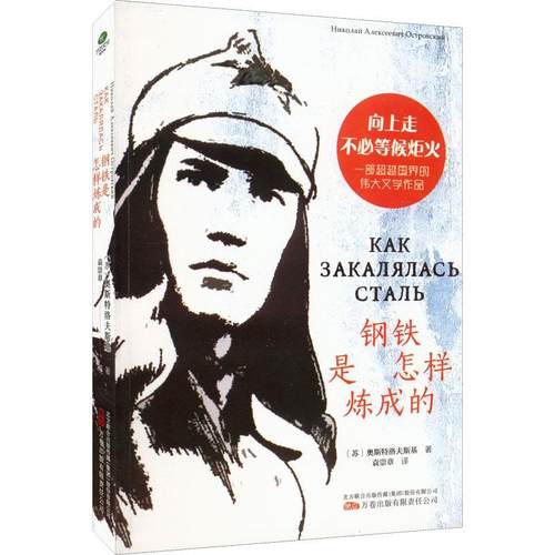 钢铁是怎样炼成的奥斯特洛夫斯基  文学书籍