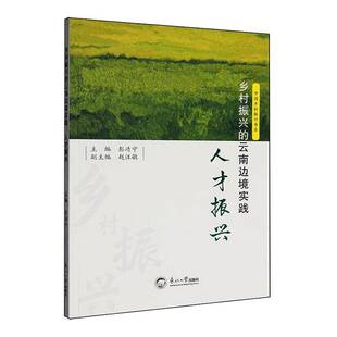 图书书籍 人才振兴彭靖宁 乡村振兴 云南边境实践