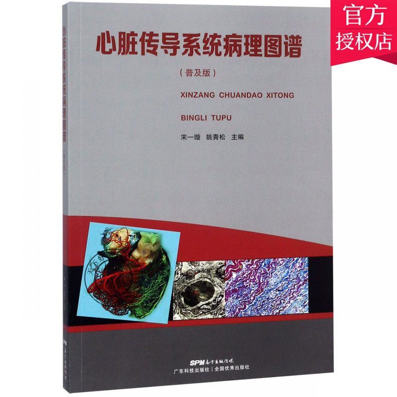 心脏传导系统病理图谱 普及版 宋一璇 解剖学书籍 心脏传导系统解剖学