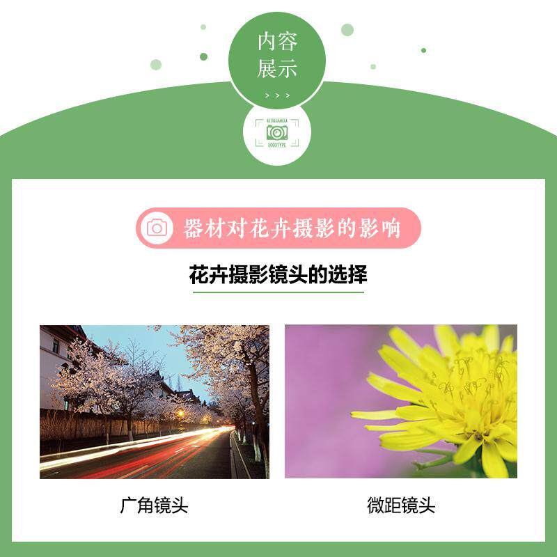 不负芳华 花卉摄影技法宝典 中老年版葛宏军普通大众花卉艺术摄影摄影艺术艺术书籍 - 实物图