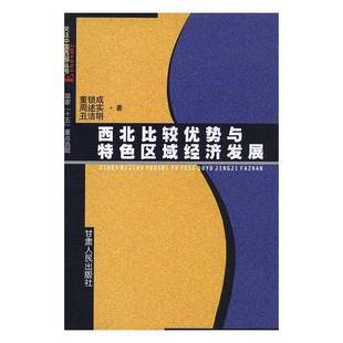 西北比较优势与区域经济发展董锁成等 地区经济经济发展研究西北地区经济书籍