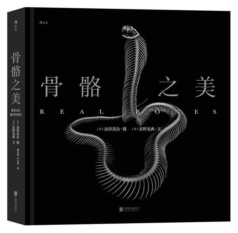 正版包邮 骨骼之美9787559646484 汤泽英治北京联合出版有限责任公司自然科学摄影集日本现代骨骼摄影集普通大众书籍