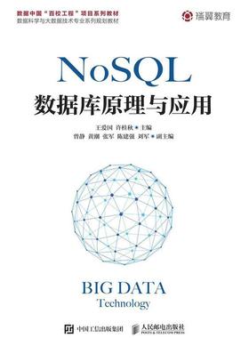 NoSQL数据库原理与应用王爱国本科及以上数据库系统高等学校教材计算机与网络书籍