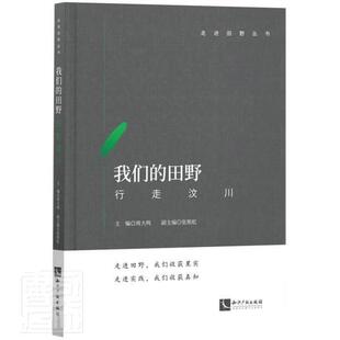 我们的田野(行走汶川)/走进田野丛书者_周大鸣责_石红华国晓健普通大众大学生社会实践调查报告汶川县社会科学书籍