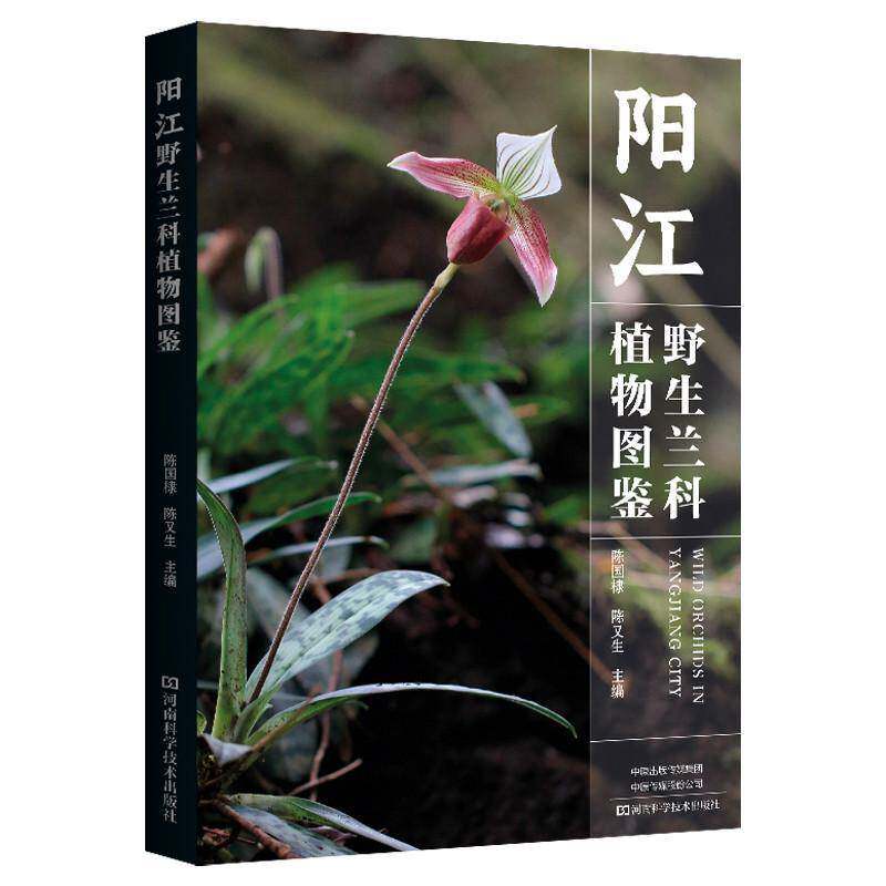 阳江野生兰科植物图鉴陈国棣 图书书籍
