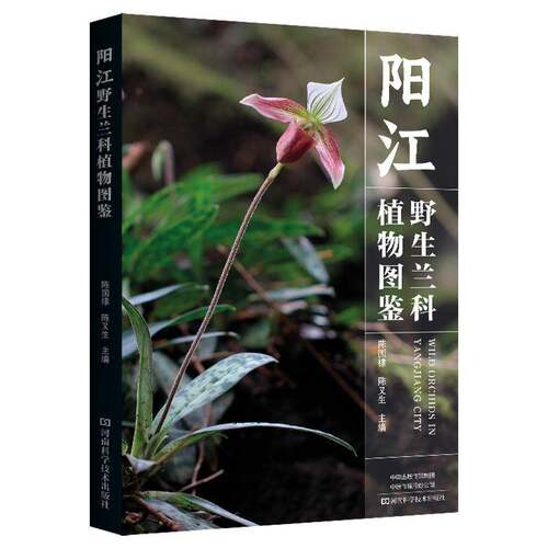 阳江野生兰科植物图鉴陈国棣  图书书籍