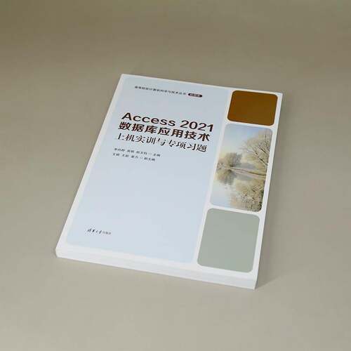 ACCESS 2021数据库应用技术上机实训与专项习题李向群  计算机与网络书籍