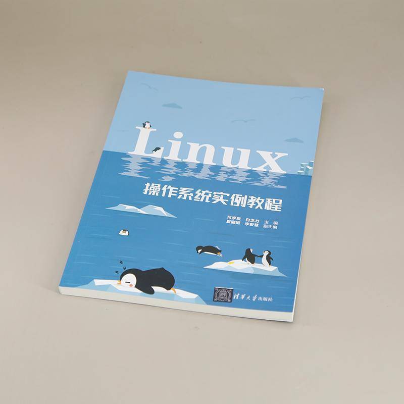 LINUX操作系统实例教程付学良白戈力夏丽娟李宏慧  计算机与网络书籍