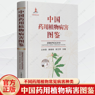 王铁霖 42种常见药用植物病害发生种类 为害特点 药用植物病害防治技术书籍 中国药用植物病害图鉴 病原特征及防控方法 中草药种植