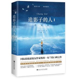 大众读者长篇小说美国现代小说书籍 追影子 人 看·见·你凯利·布兰特爱好外国文学悬疑小说