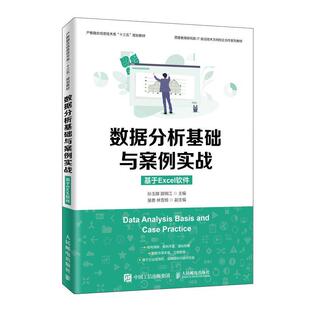 孙玉娣 基于Excel**** 计算机与网络书籍 数据分析基础与案例实战