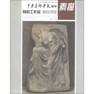 正版包邮 素描-中央美术学院附中陆阳工作室精品课程 陆阳 素描速写书籍 人民美术 素描速写 浅淡人物头像结构素描教学的感想书