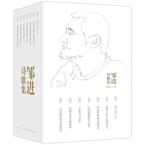 包邮 邹进诗歌集全7册 把林中的鸟赶进天空+始于赤子心+为美丽的风景而忧伤等 邹进诗集作品中国现当代诗歌诗书籍