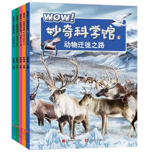 6岁 妙奇科学馆6 小学生版 幼儿版 全5册 WOW 恐龙书 12岁儿童科普图书籍 少儿百科全书幼儿科普十万个为什么科普书籍
