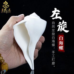 左旋海螺藏式白海螺大海螺佛前摆件尼泊尔法器密宗七供八供法螺