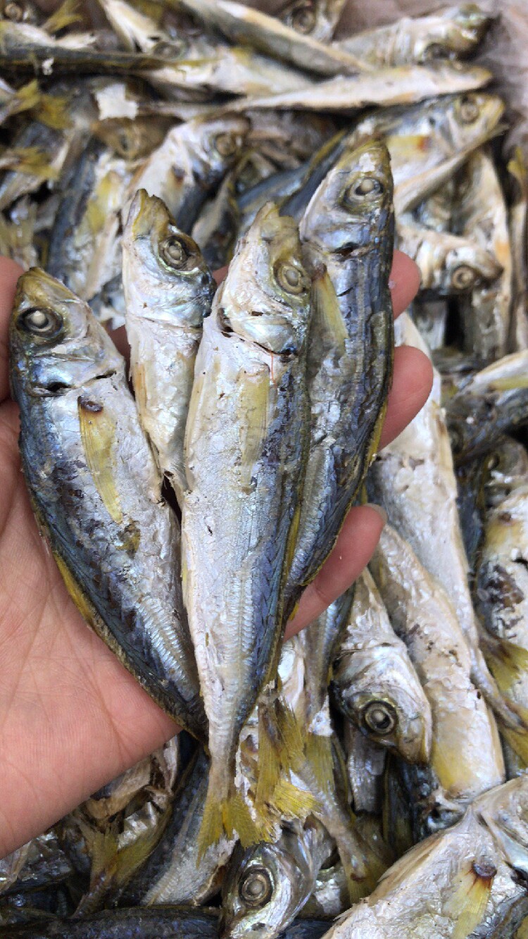 东山岛特产黄叶黄尾巴浪鱼干咸鱼干小鱼干干货特产海鱼干海鲜干货