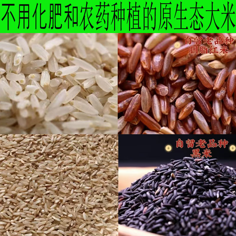 广东清远原生态老品种南粘香粘丝苗 胚芽米/胭脂红米/糙米/黑米
