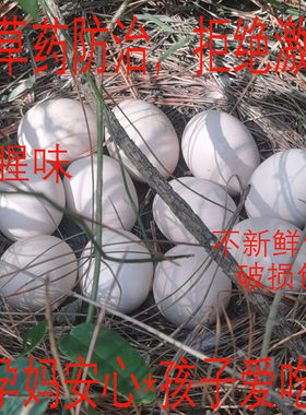 富硒产业带清远连州中草药喂养原生态林下散养农家新鲜土鸡蛋30枚