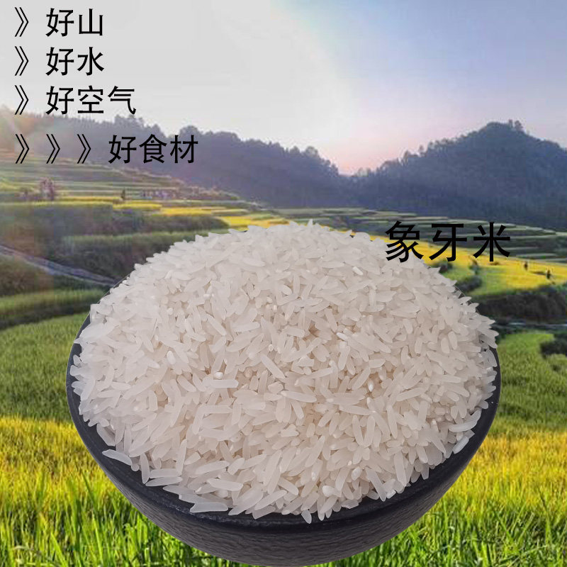 广东连山清远乡下晚稻农家象牙大米现碾不抛光新米油粘米5kg包邮