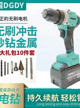 原装正品德国DGDY电动手电钻大扭力无刷手电钻电动螺丝刀双速通用