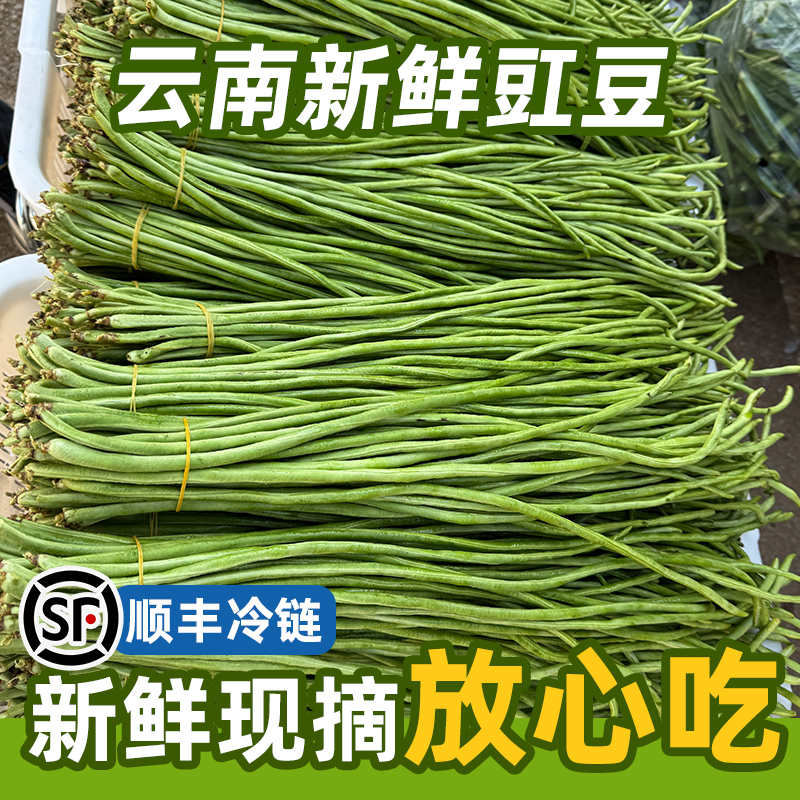 云南新鲜现摘豇豆顺丰包邮