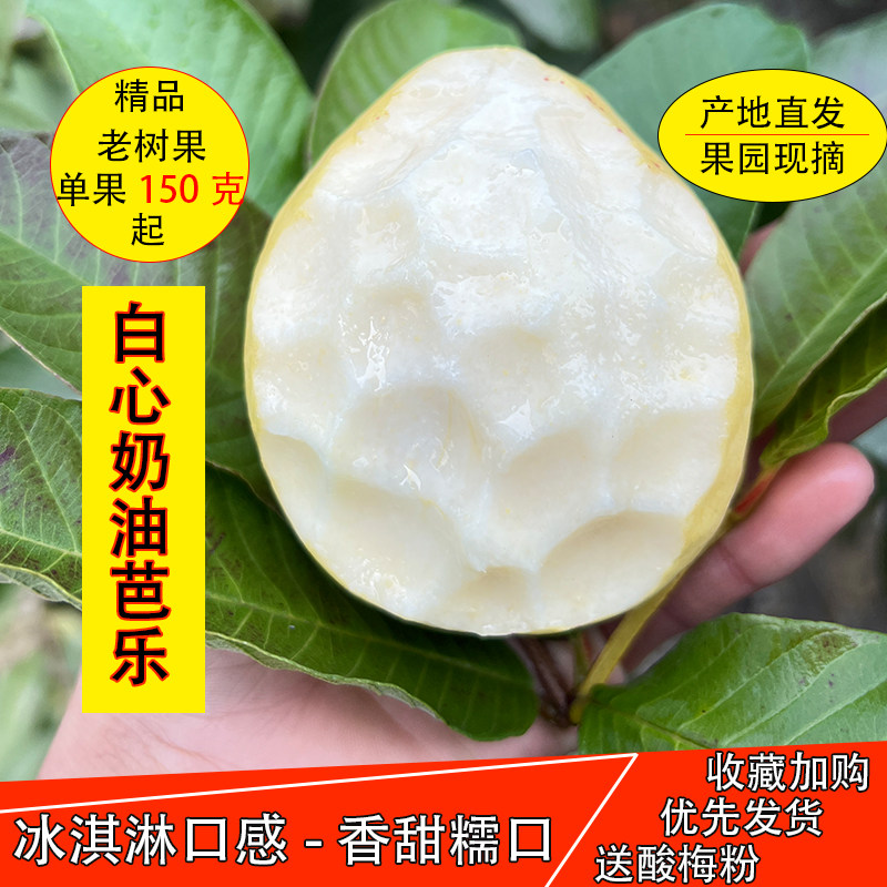 广西奶油芭乐软糯软心番石榴现摘新鲜水果当季奶软白心番石榴芭乐,水产肉类/新鲜蔬果/熟食,番石榴/芭乐,淘宝优惠券,粉丝福利购,淘宝优惠卷
