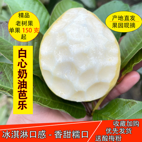 广西奶油芭乐软糯香甜当季番石榴