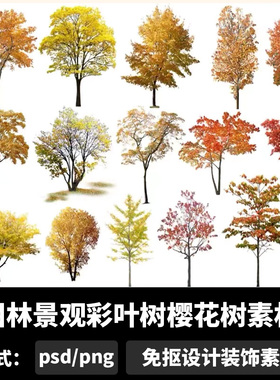 园林景观彩叶树樱花树素材免抠花瓣银杏树植物psd效果图素材b837