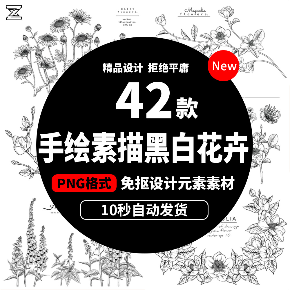 手绘素描黑白花卉植物临摹线稿速写铅简笔画手稿png设计素材b559