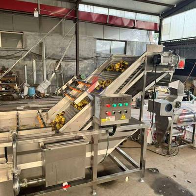 椰子粉碎榨汁机 螺旋榨椰奶机 果汁饮料加工设备有机植物饮料设备