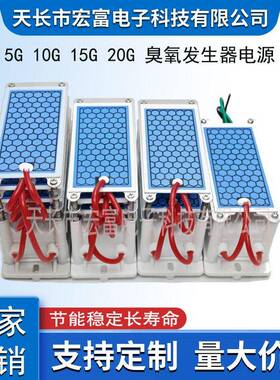 5g10g15g20g蜂窝陶瓷220V/110V臭氧发生器电源模块跨境外贸