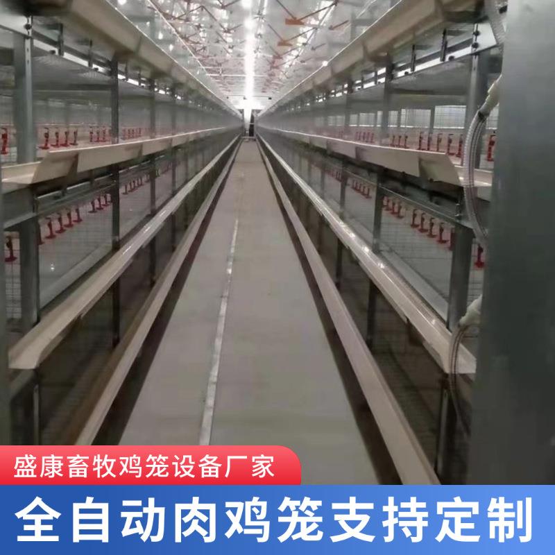 鸡舍养殖场用养框架肉鸡笼自动化清粪喂料养鸡养殖机械设备鸡笼子