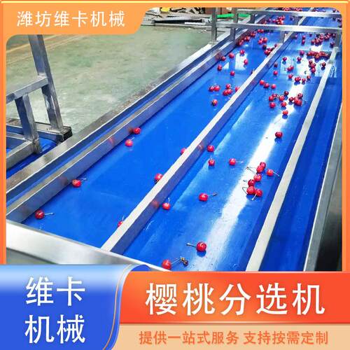 高精度樱桃分选机 精细分级误差小 新型车厘子分级机